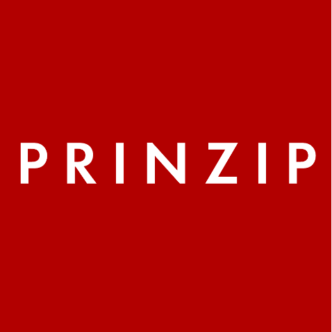 Partner prinzip